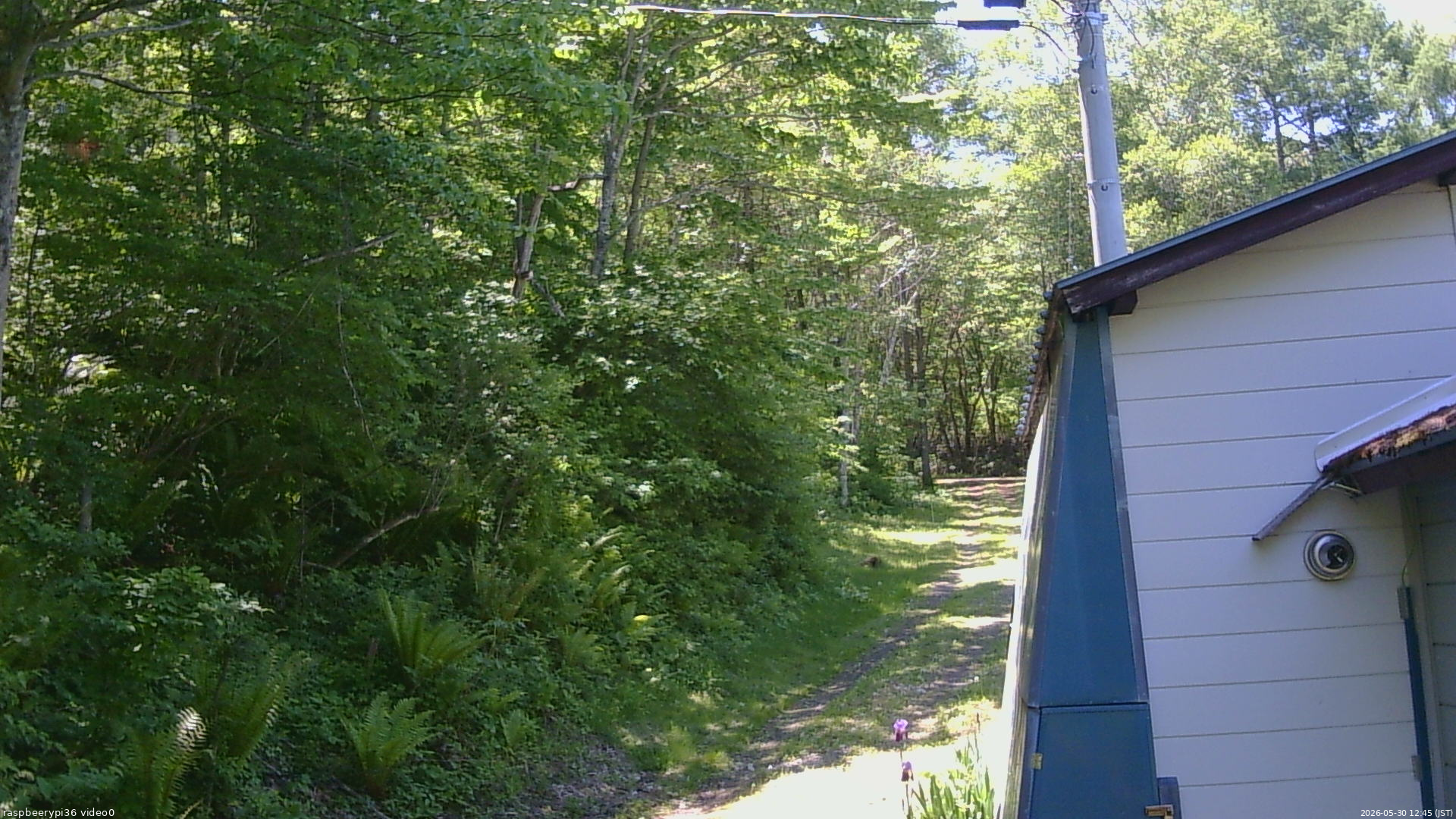 長野県菅平高原 ゆたか山荘 ゆたか山荘 2026/05/30 12:45