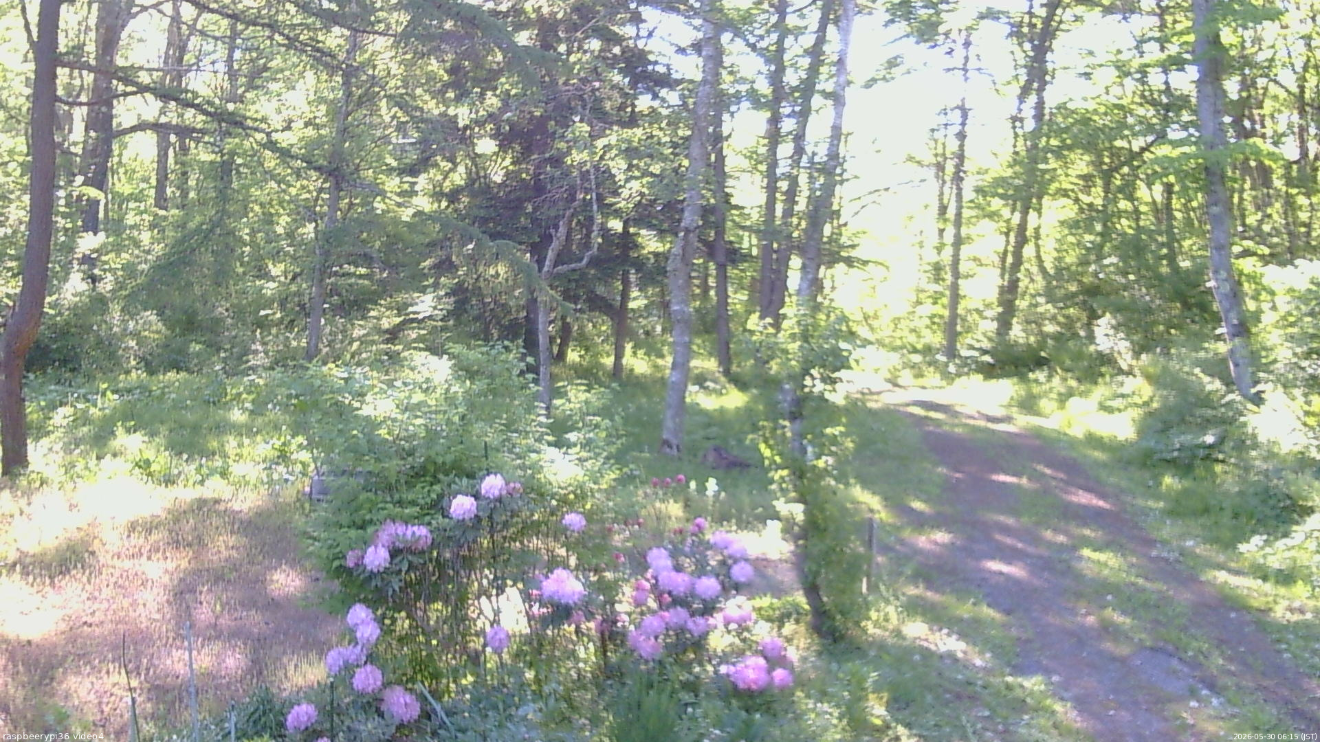 長野県菅平高原 ゆたか山荘 坂上 2026/05/30 06:15