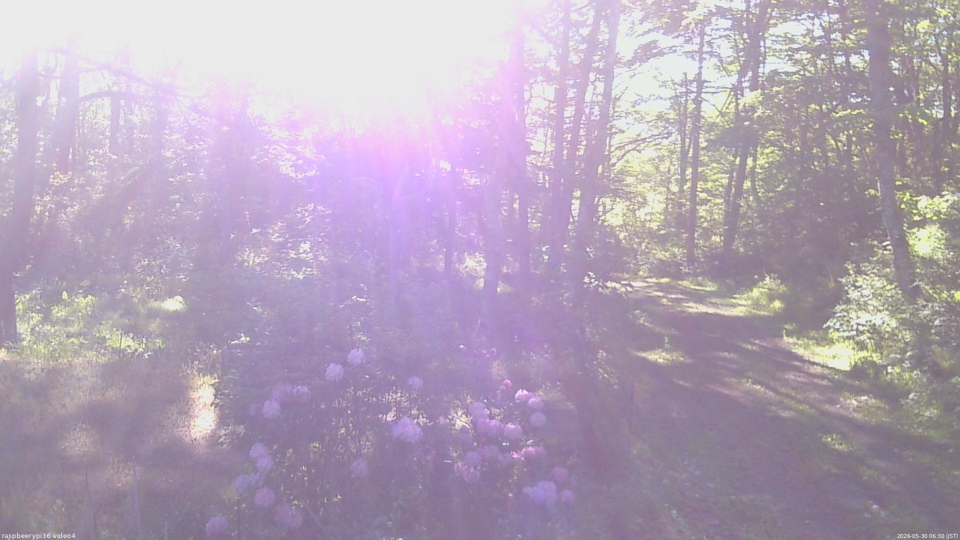 長野県菅平高原 ゆたか山荘 坂上 2026/05/30 06:30