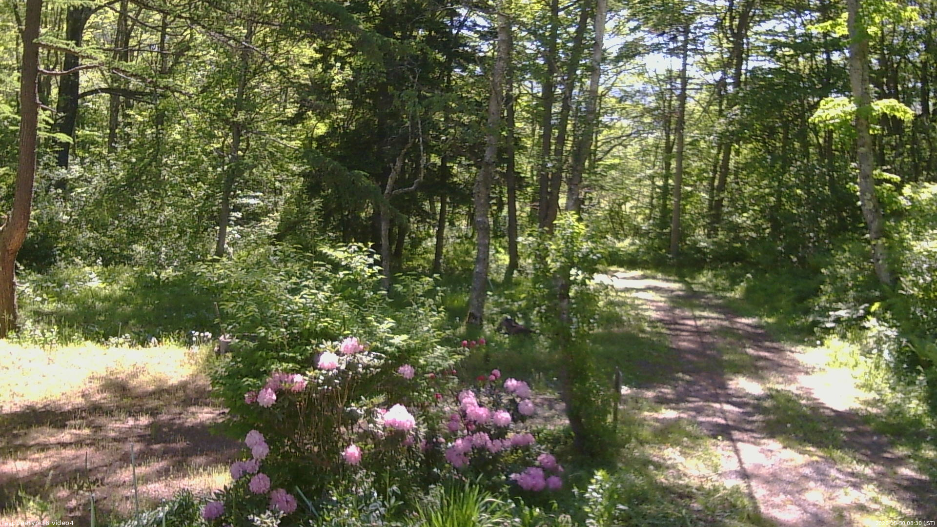 長野県菅平高原 ゆたか山荘 坂上 2026/05/30 08:30