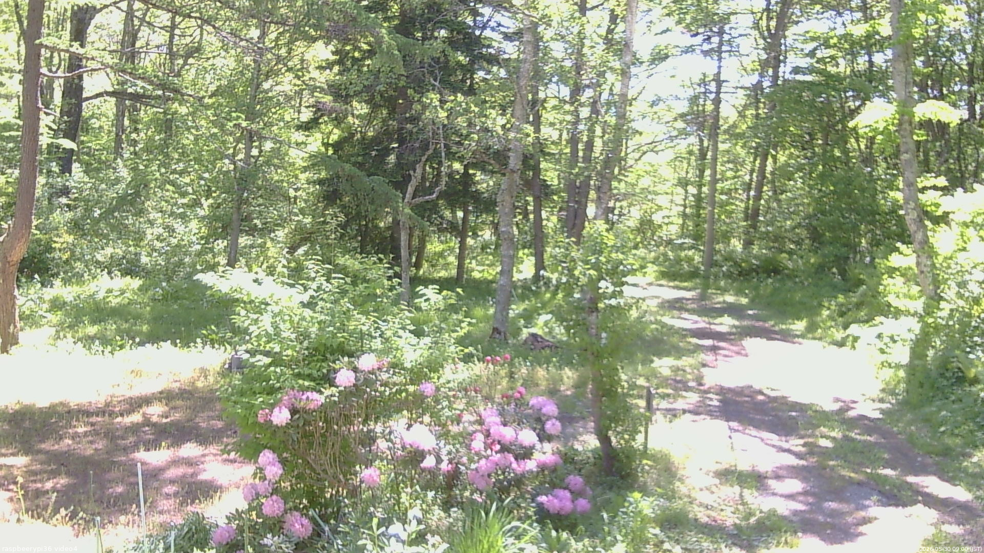 長野県菅平高原 ゆたか山荘 坂上 2026/05/30 09:00