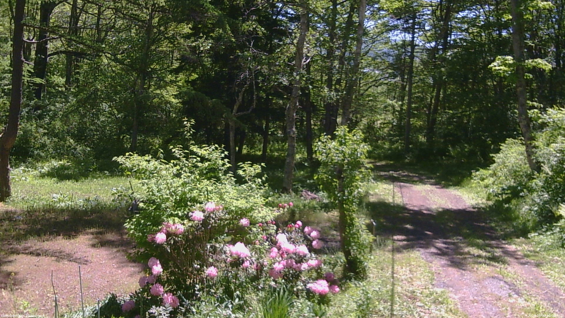 長野県菅平高原 ゆたか山荘 坂上 2026/05/30 10:00