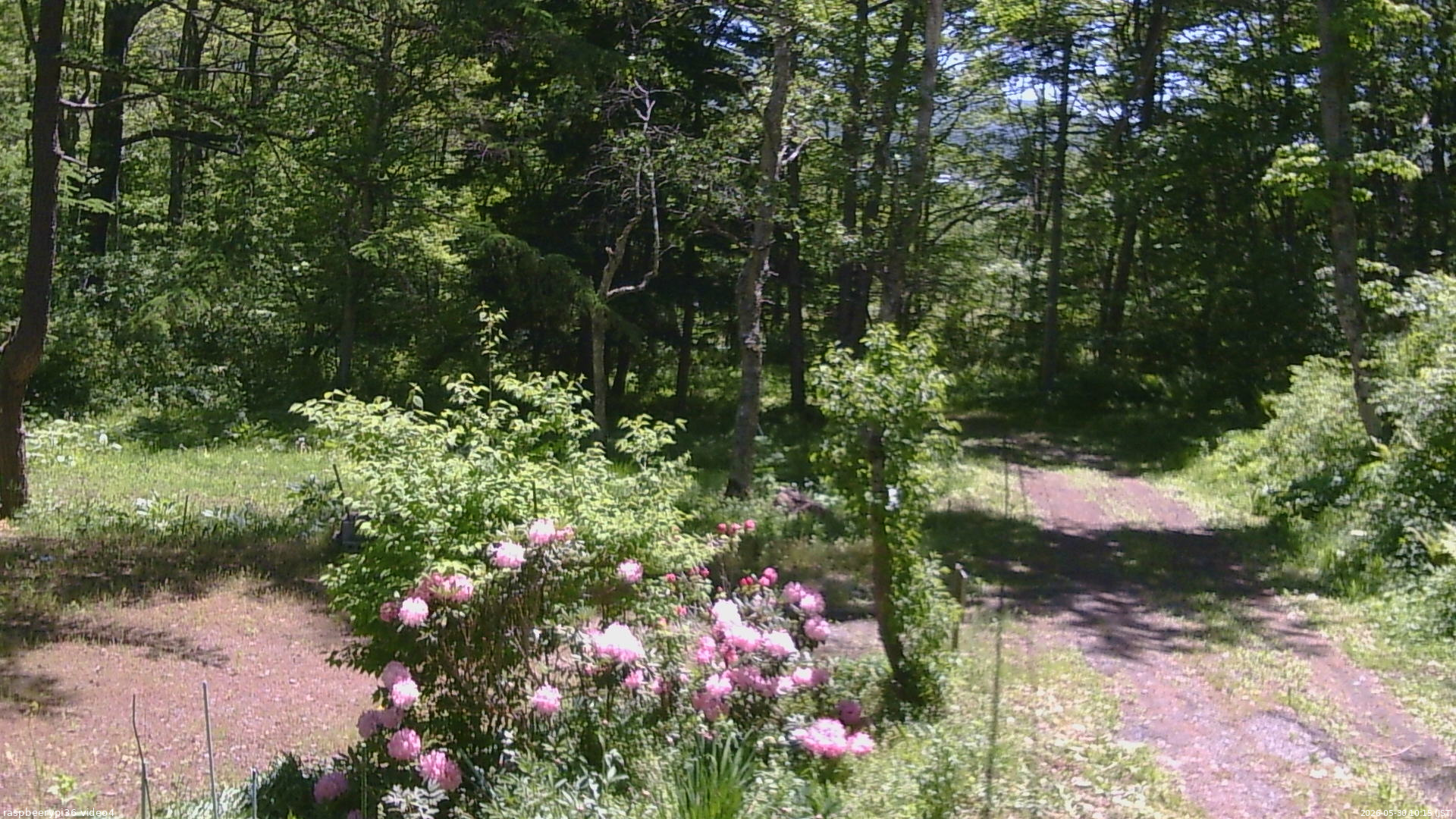 長野県菅平高原 ゆたか山荘 坂上 2026/05/30 10:15