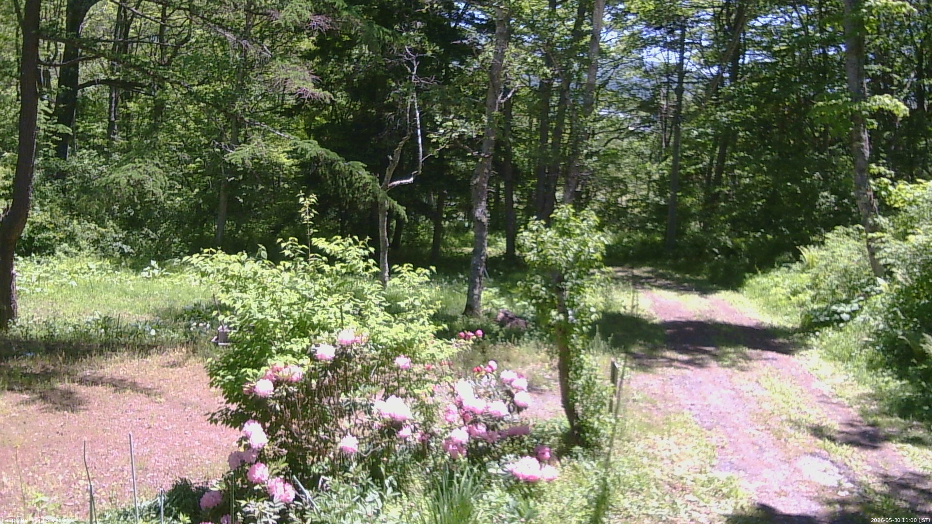 長野県菅平高原 ゆたか山荘 坂上 2026/05/30 11:00