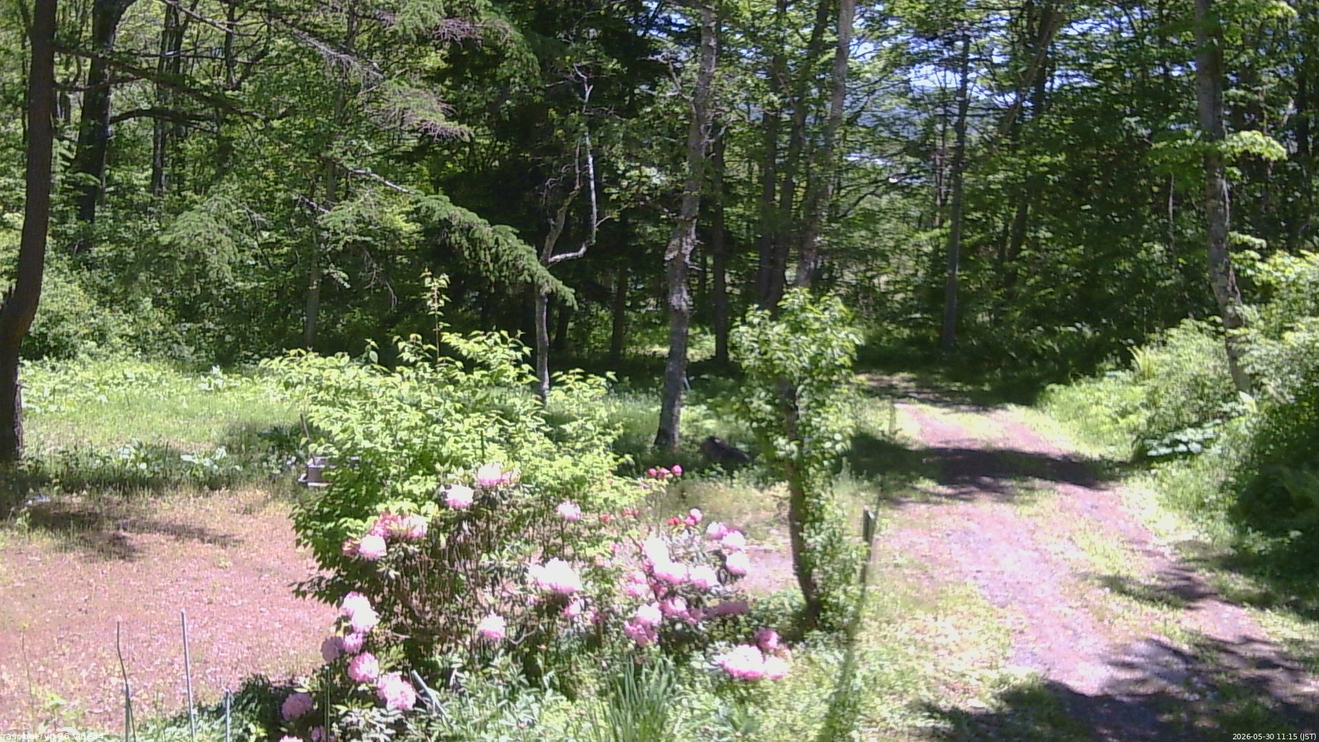 長野県菅平高原 ゆたか山荘 坂上 2026/05/30 11:15