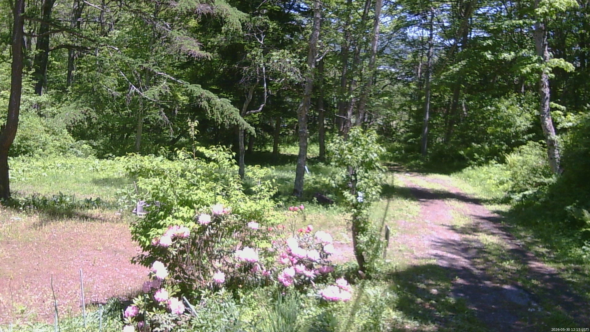 長野県菅平高原 ゆたか山荘 坂上 2026/05/30 12:15