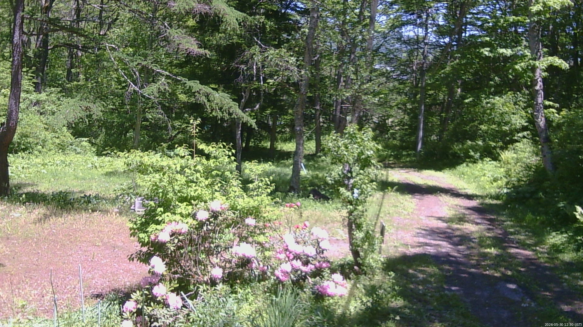 長野県菅平高原 ゆたか山荘 坂上 2026/05/30 12:30