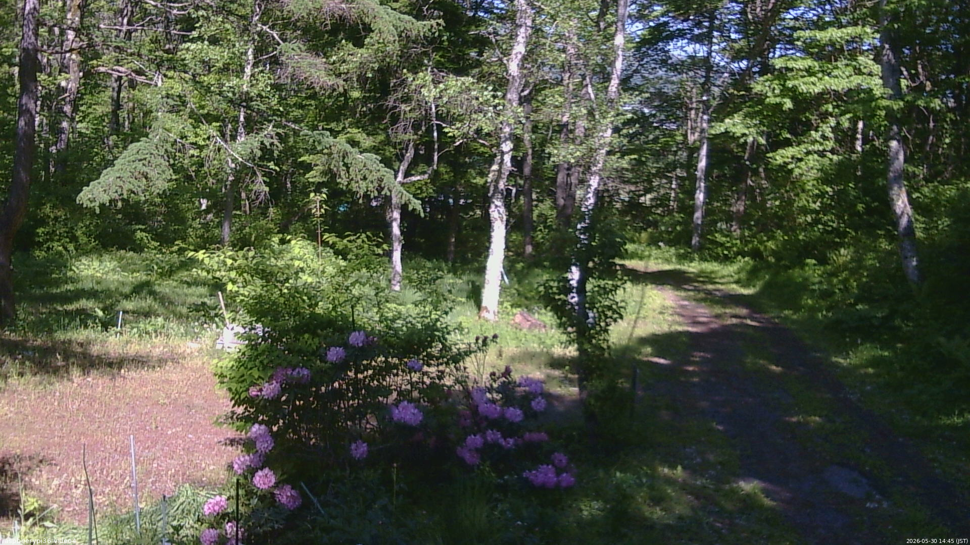 長野県菅平高原 ゆたか山荘 坂上 2026/05/30 14:45