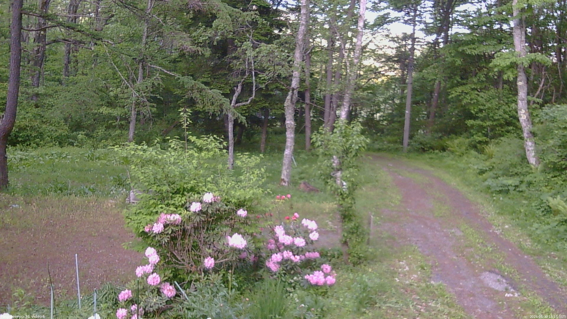 長野県菅平高原 ゆたか山荘 坂上 2026/05/30 18:15