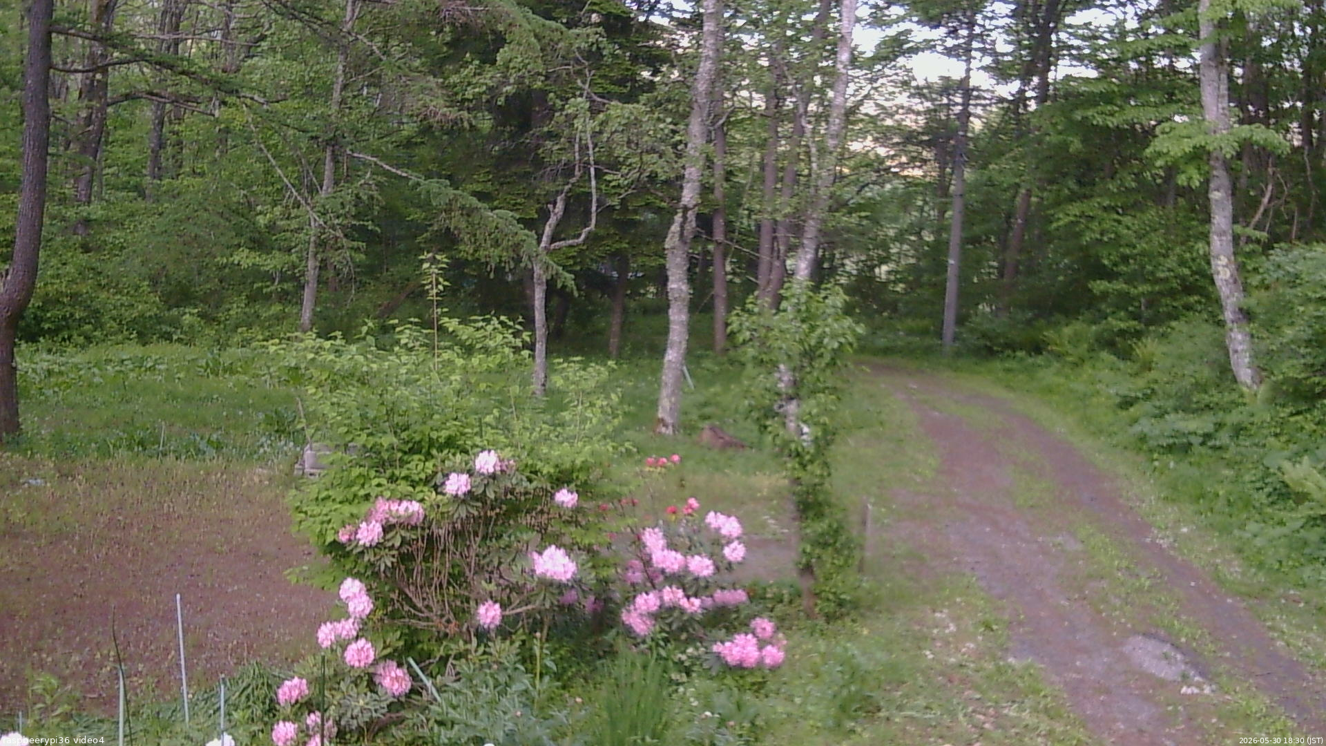 長野県菅平高原 ゆたか山荘 坂上 2026/05/30 18:30