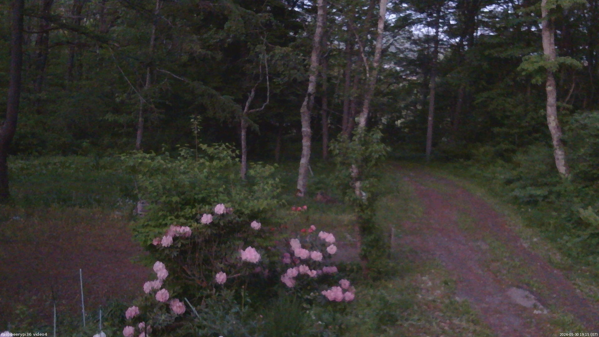 長野県菅平高原 ゆたか山荘 坂上 2026/05/30 19:15