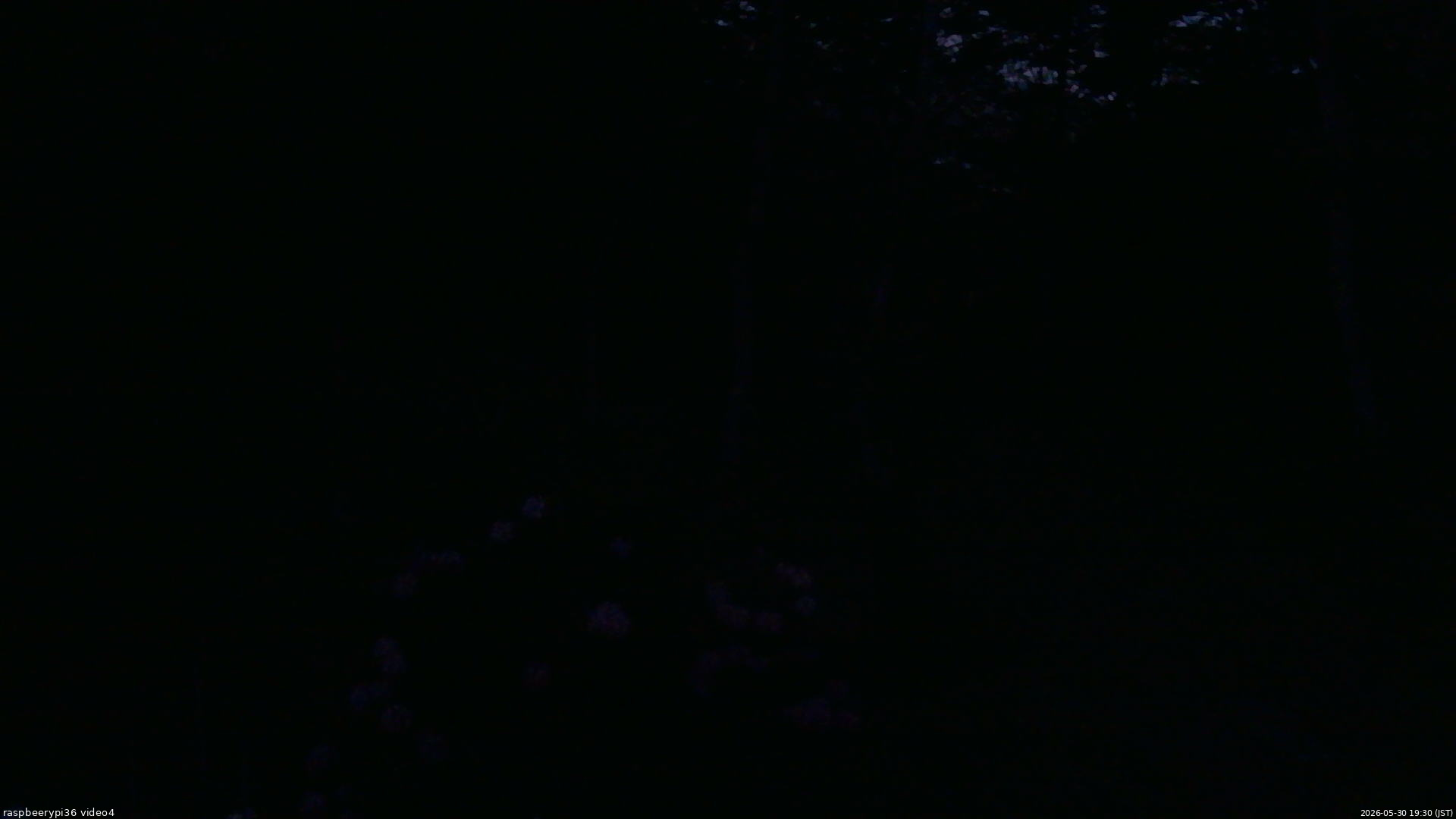 長野県菅平高原 ゆたか山荘 坂上 2026/05/30 19:30