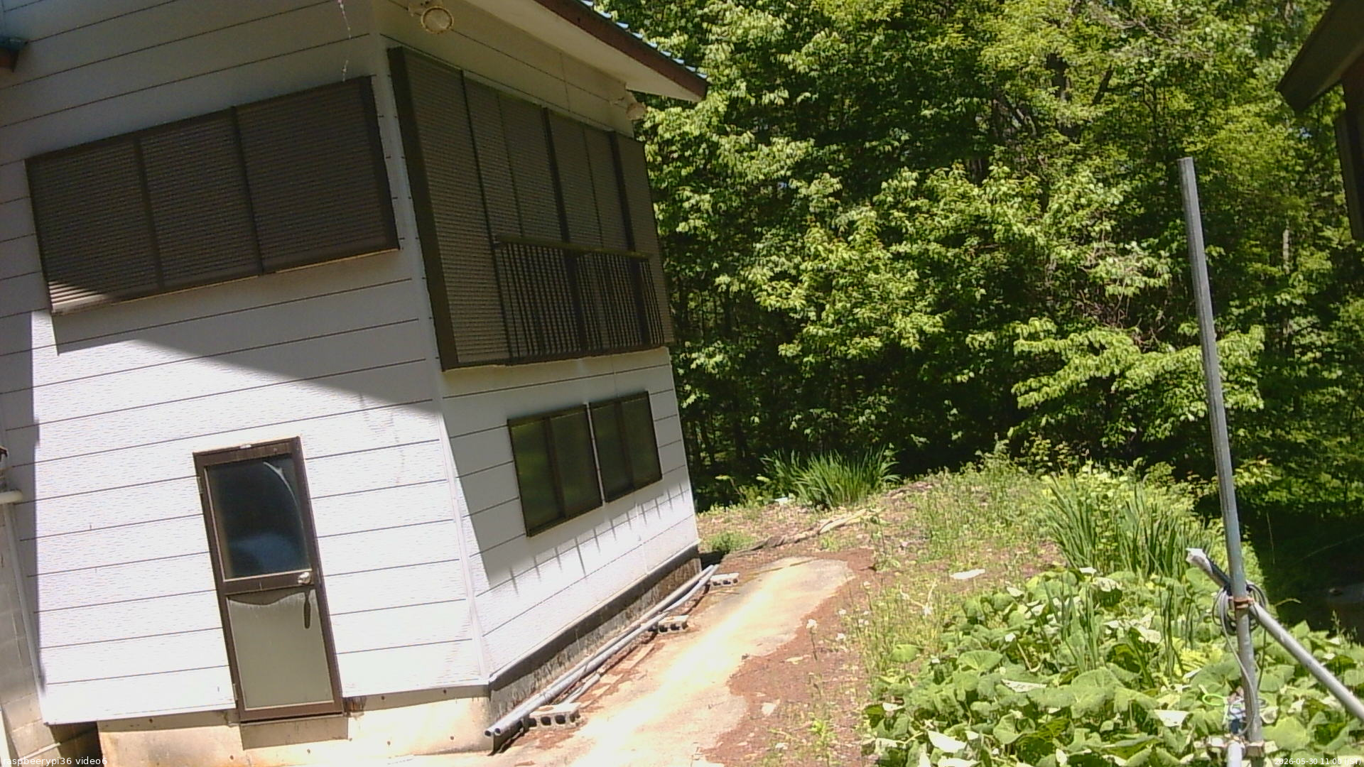 長野県菅平高原 ゆたか山荘 坂下 2026/05/30 11:00