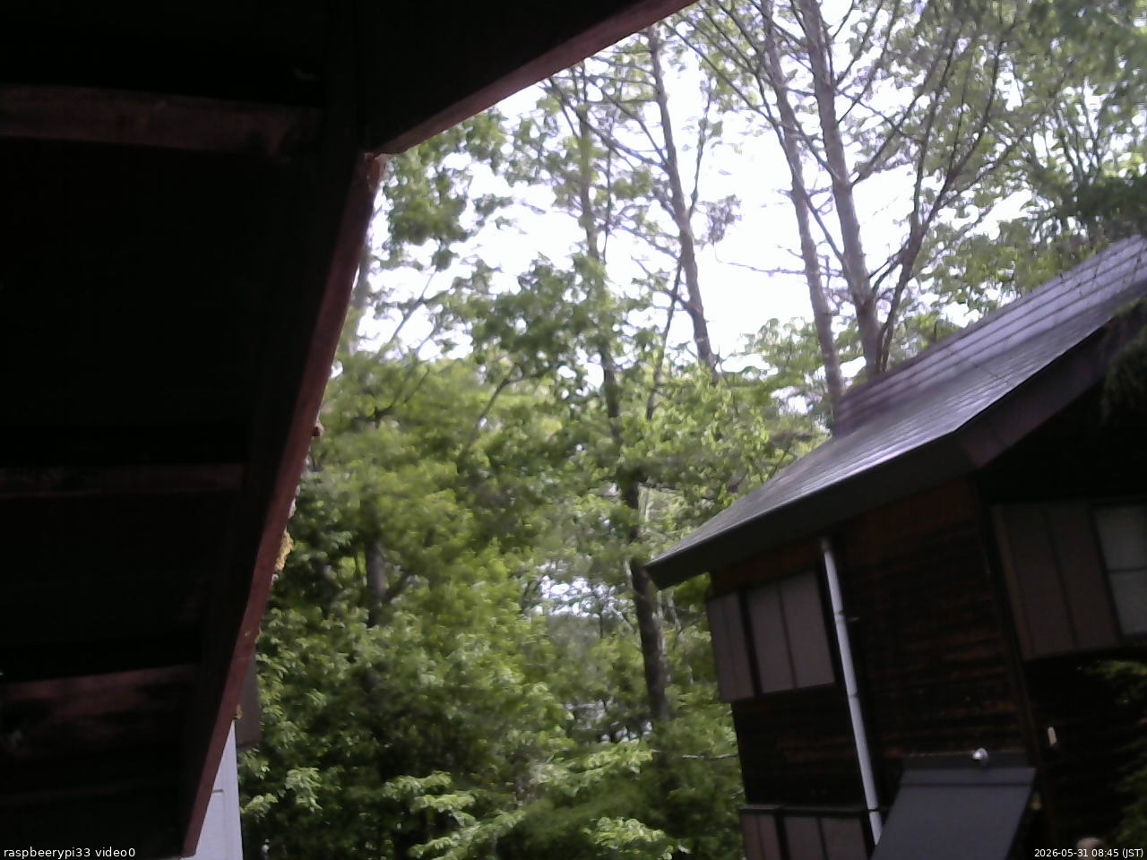 長野県菅平高原 ゆたか山荘 北側 2026/05/31 08:45