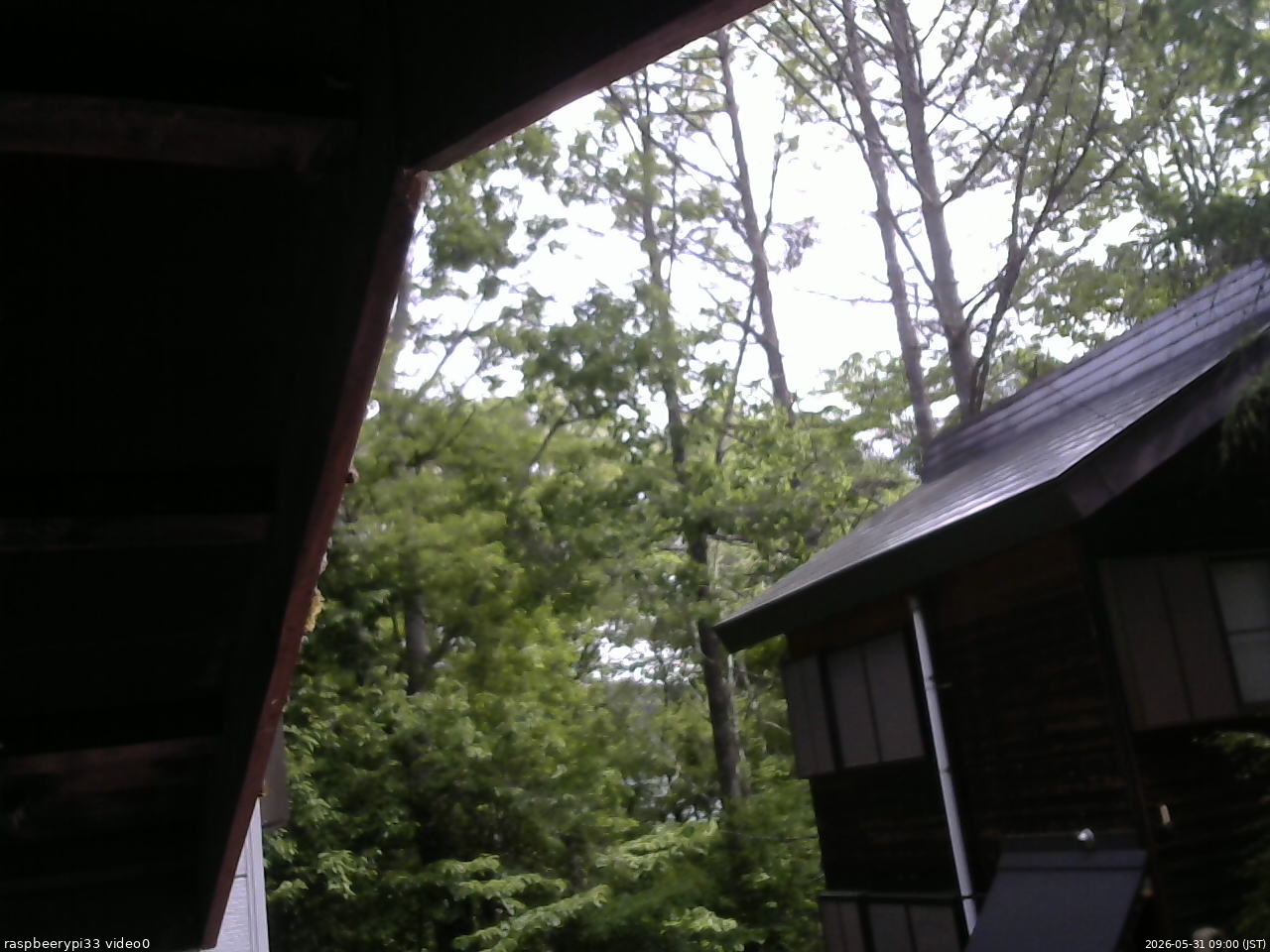 長野県菅平高原 ゆたか山荘 北側 2026/05/31 09:00