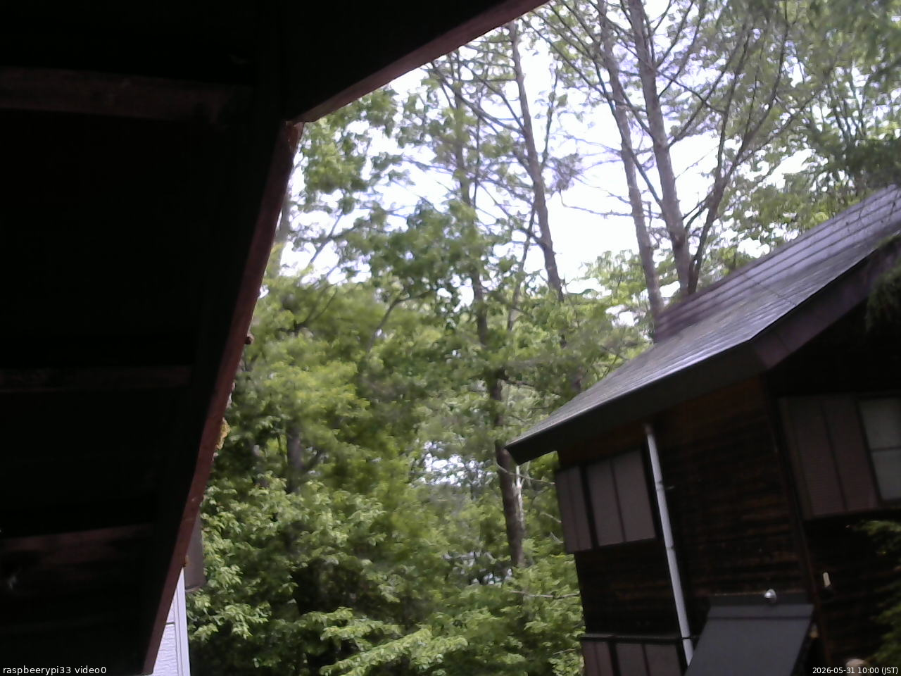 長野県菅平高原 ゆたか山荘 北側 2026/05/31 10:00