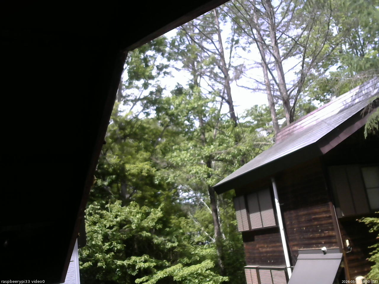 長野県菅平高原 ゆたか山荘 北側 2026/05/31 13:30