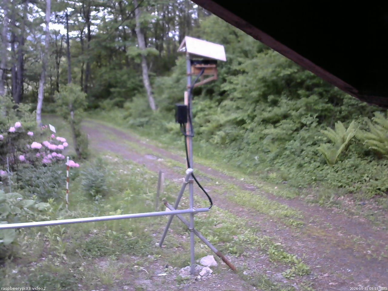 長野県菅平高原 ゆたか山荘 南側 2026/05/31 05:15