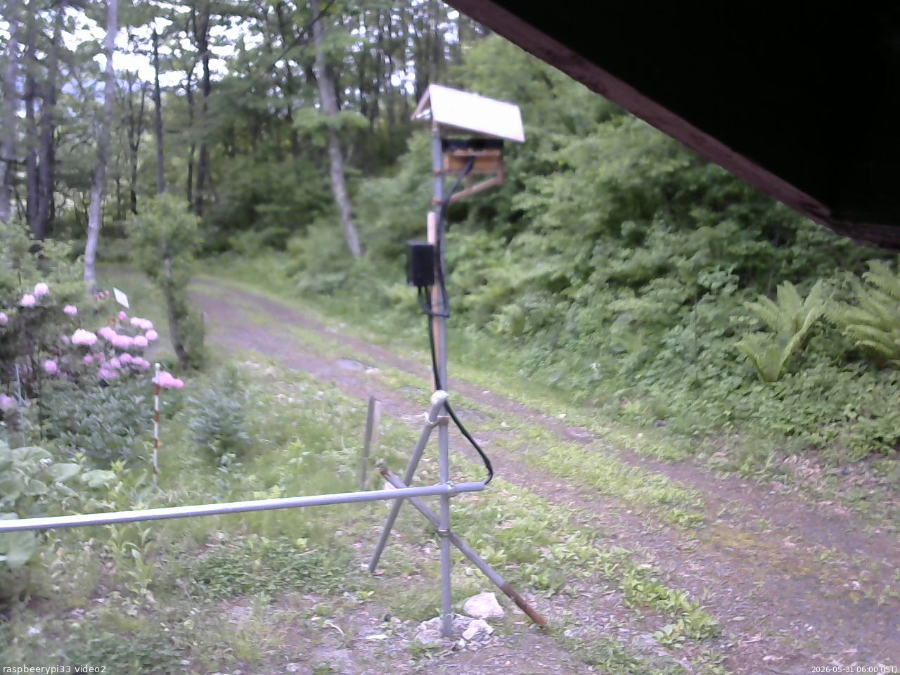 長野県菅平高原 ゆたか山荘 南側 2026/05/31 06:00