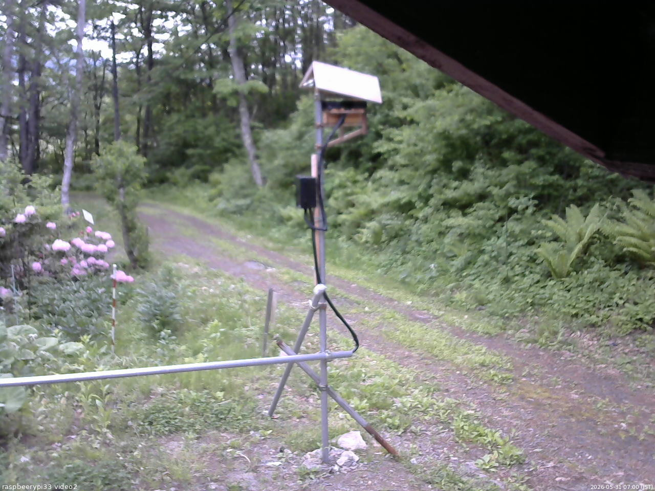 長野県菅平高原 ゆたか山荘 南側 2026/05/31 07:00