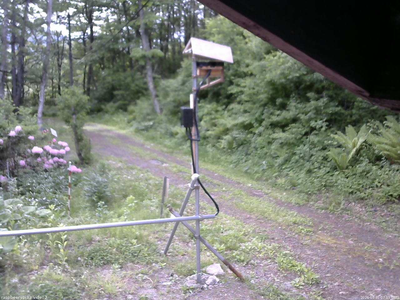 長野県菅平高原 ゆたか山荘 南側 2026/05/31 07:15