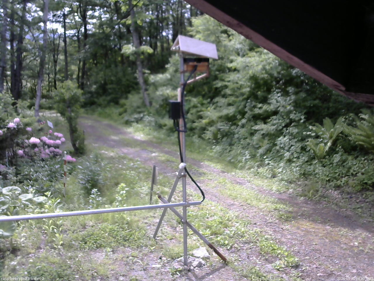 長野県菅平高原 ゆたか山荘 南側 2026/05/31 08:30