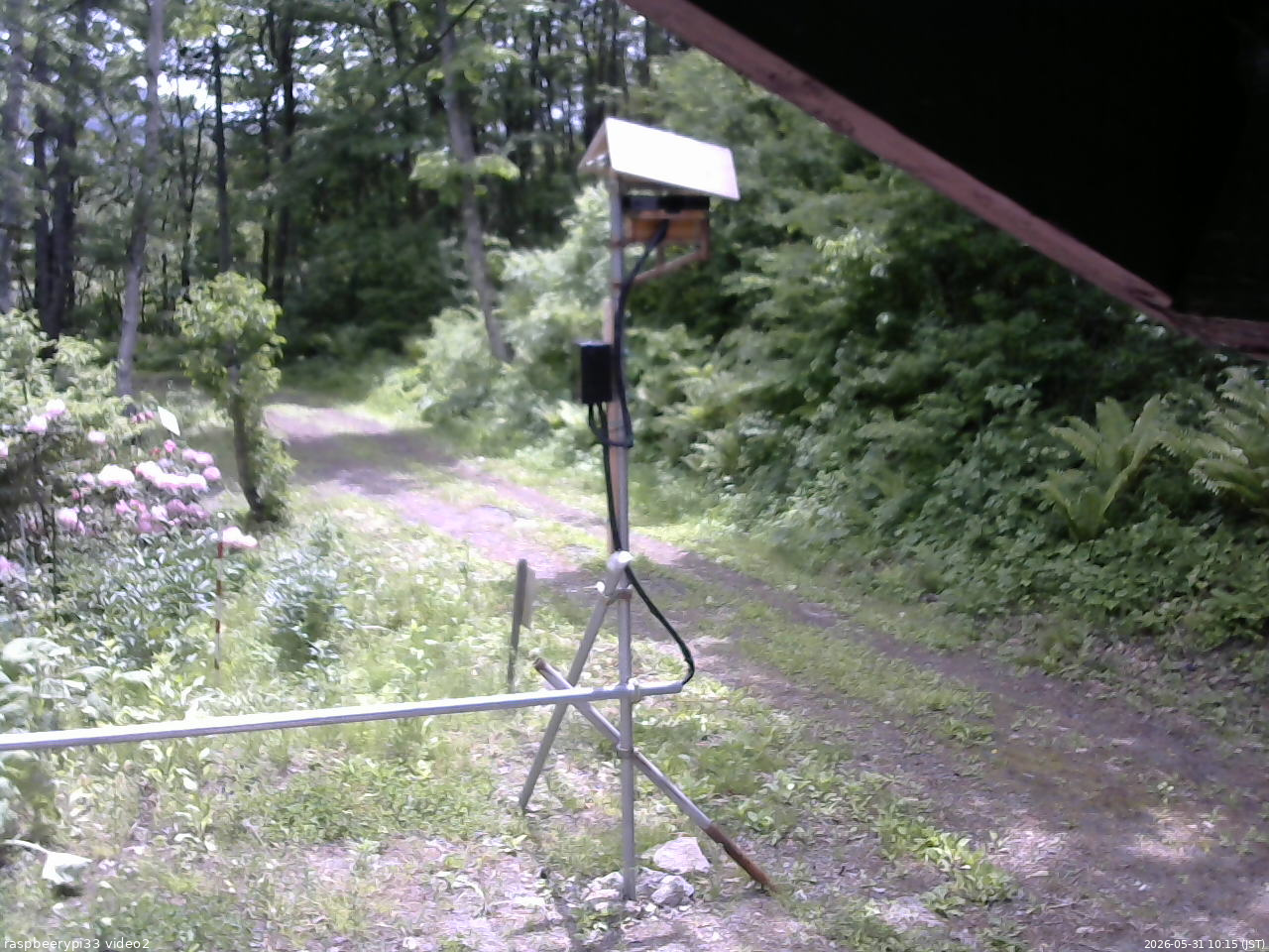 長野県菅平高原 ゆたか山荘 南側 2026/05/31 10:15