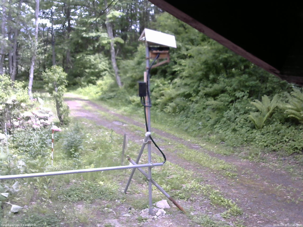 長野県菅平高原 ゆたか山荘 南側 2026/05/31 12:45