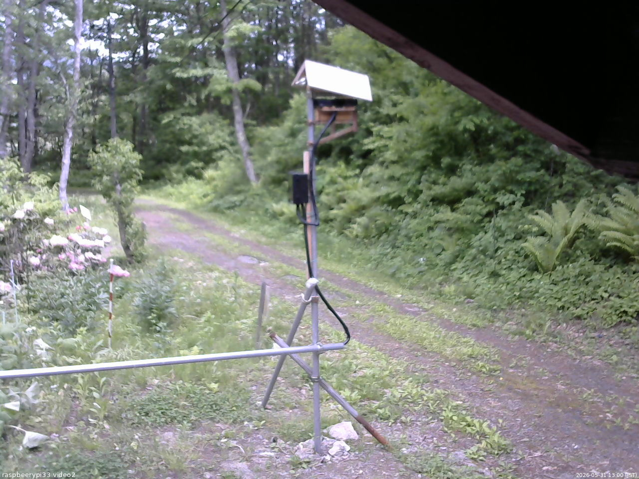 長野県菅平高原 ゆたか山荘 南側 2026/05/31 13:00