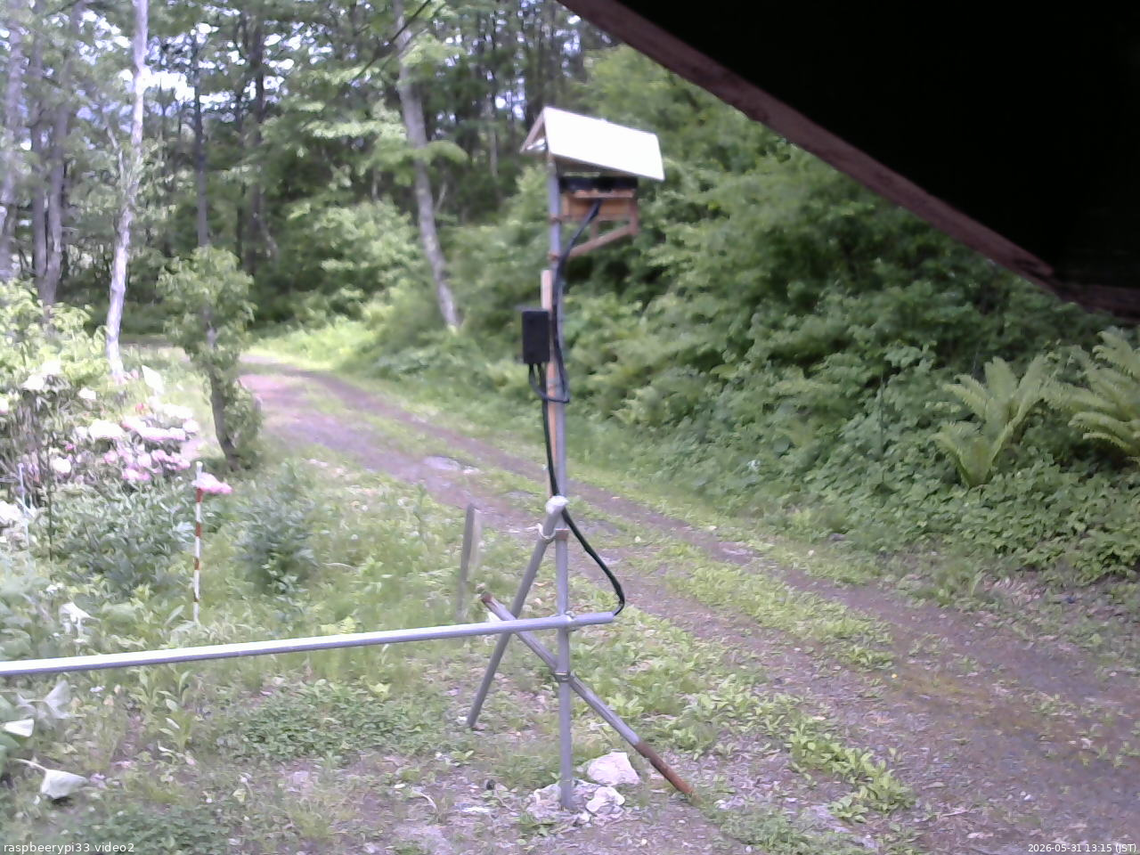 長野県菅平高原 ゆたか山荘 南側 2026/05/31 13:15
