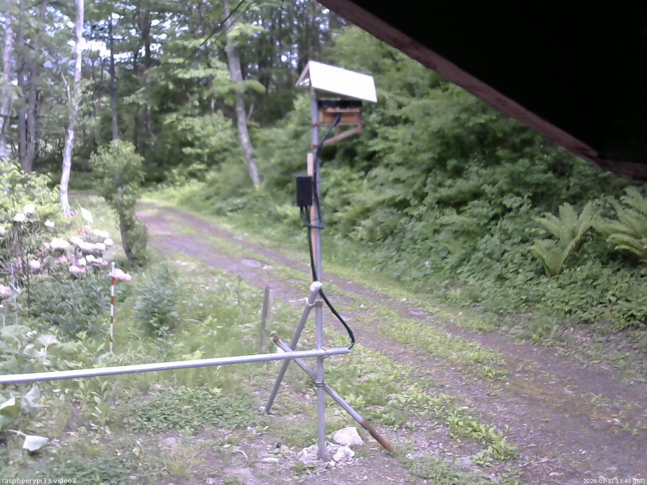 長野県菅平高原 ゆたか山荘 南側 2026/05/31 13:45