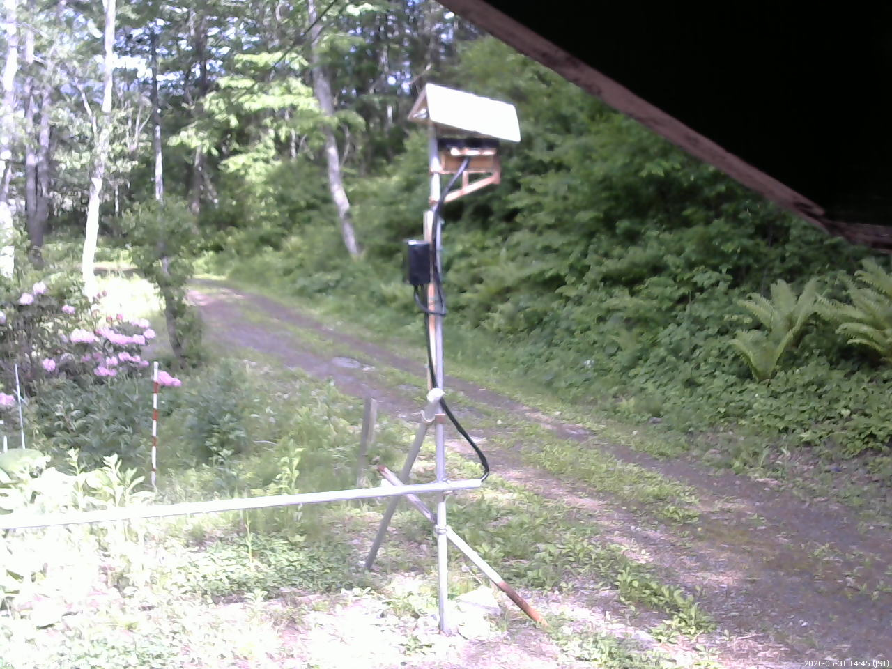 長野県菅平高原 ゆたか山荘 南側 2026/05/31 14:45