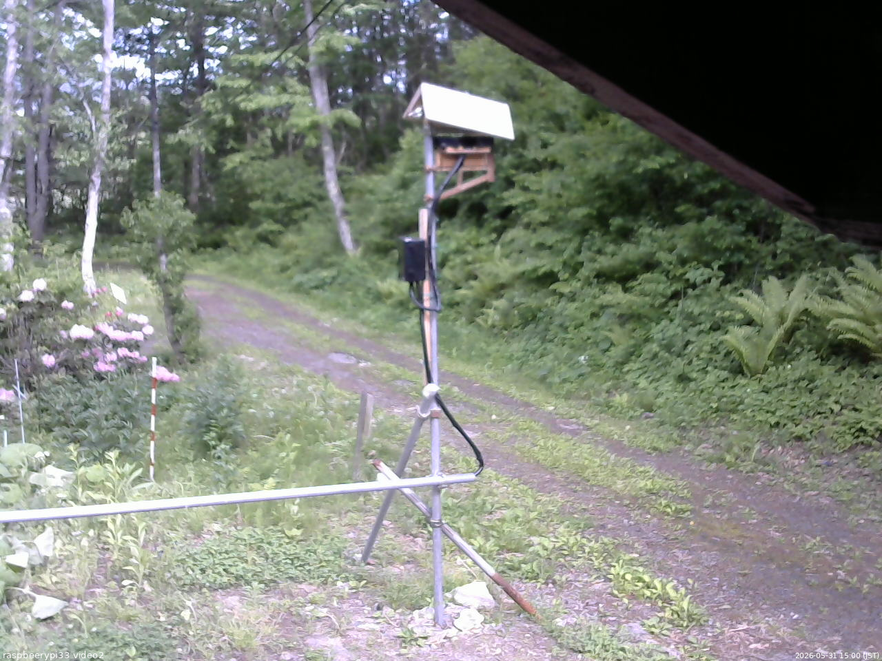 長野県菅平高原 ゆたか山荘 南側 2026/05/31 15:00