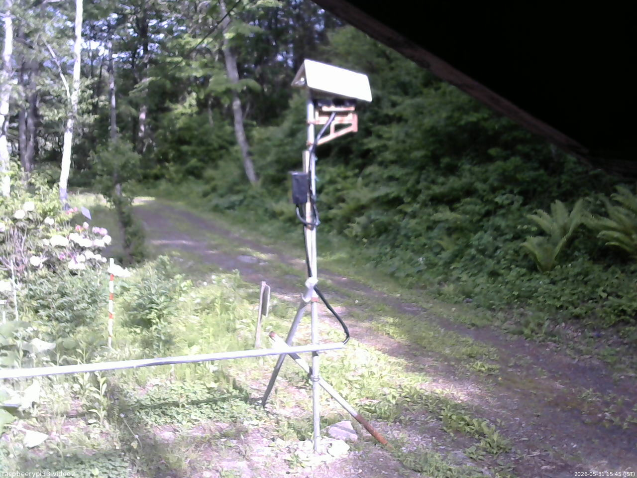 長野県菅平高原 ゆたか山荘 南側 2026/05/31 15:45