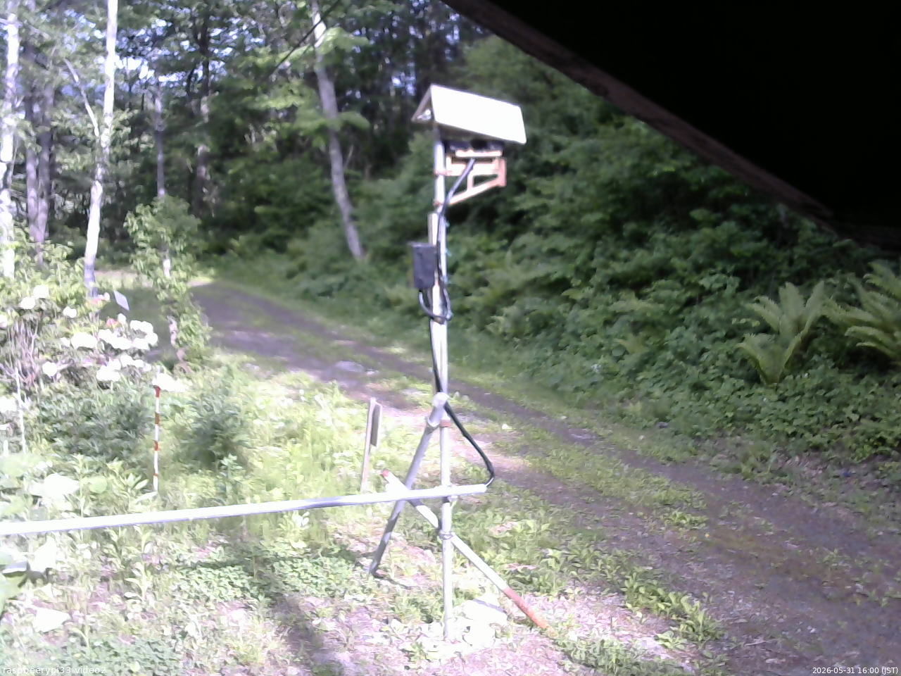 長野県菅平高原 ゆたか山荘 南側 2026/05/31 16:00