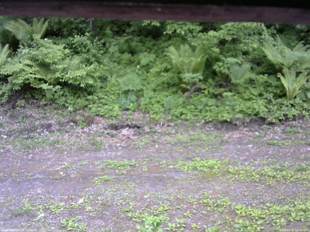 長野県菅平高原 ゆたか山荘 東側(坂下) 2026/05/31 12:45
