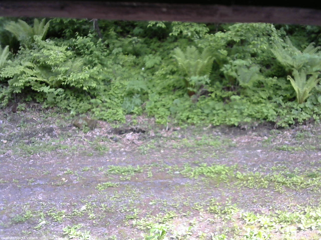 長野県菅平高原 ゆたか山荘 東側(坂下) 2026/05/31 14:15