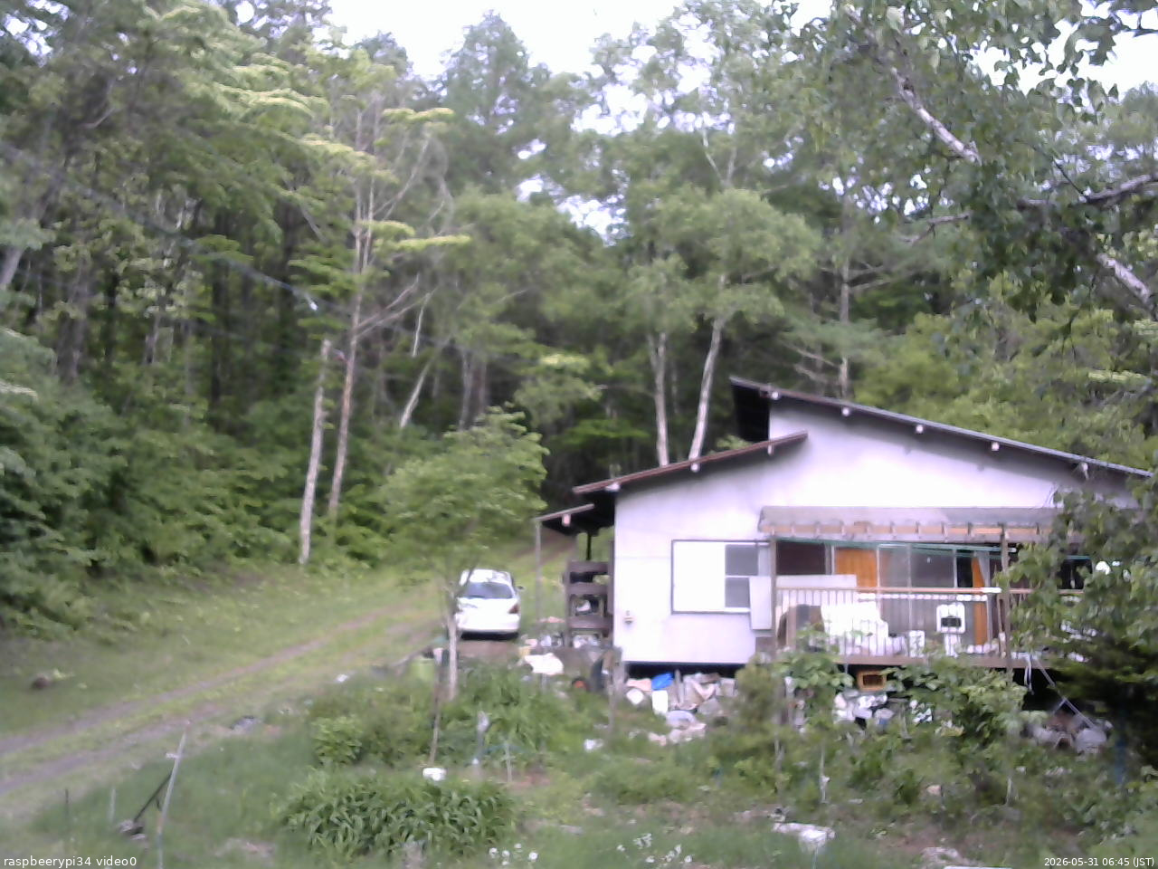 長野県菅平高原 ゆたか山荘 西側(坂上) 2026/05/31 06:45