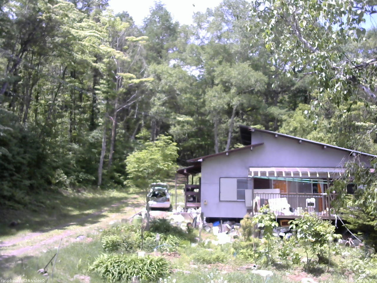 長野県菅平高原 ゆたか山荘 西側(坂上) 2026/05/31 11:00