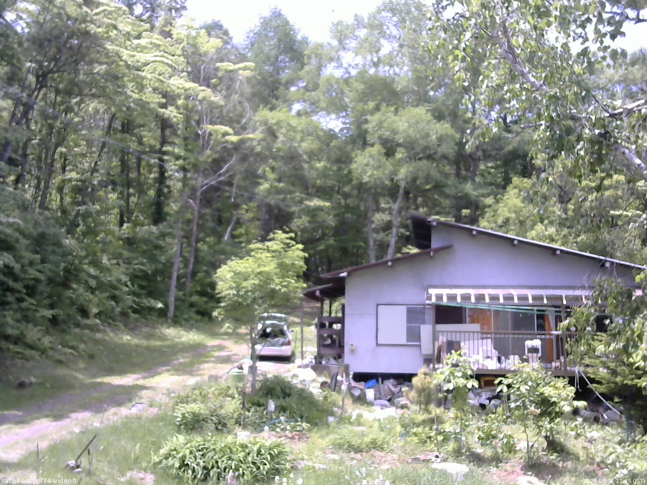 長野県菅平高原 ゆたか山荘 西側(坂上) 2026/05/31 11:45