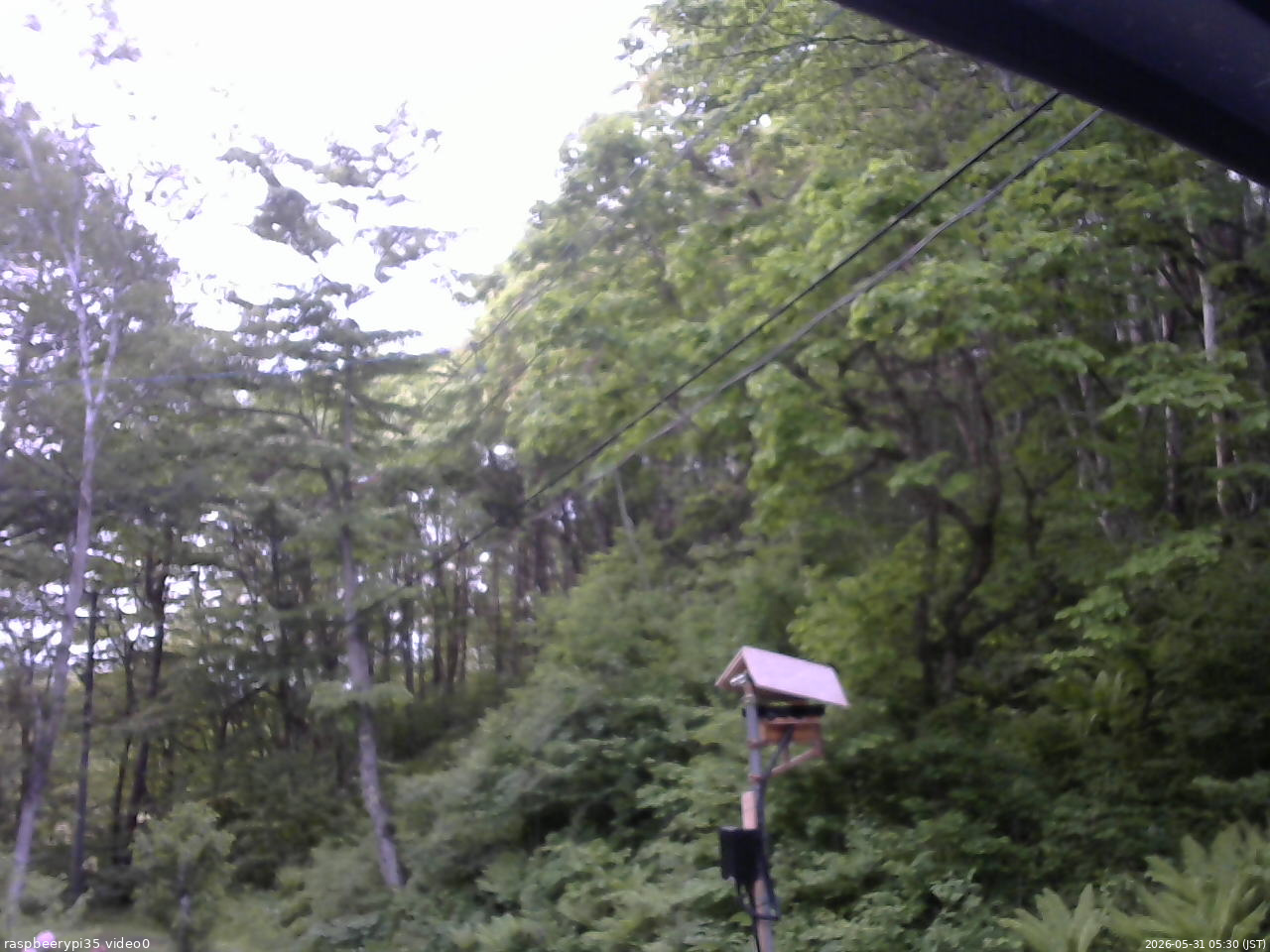長野県菅平高原 ゆたか山荘 温度計 2026/05/31 05:30