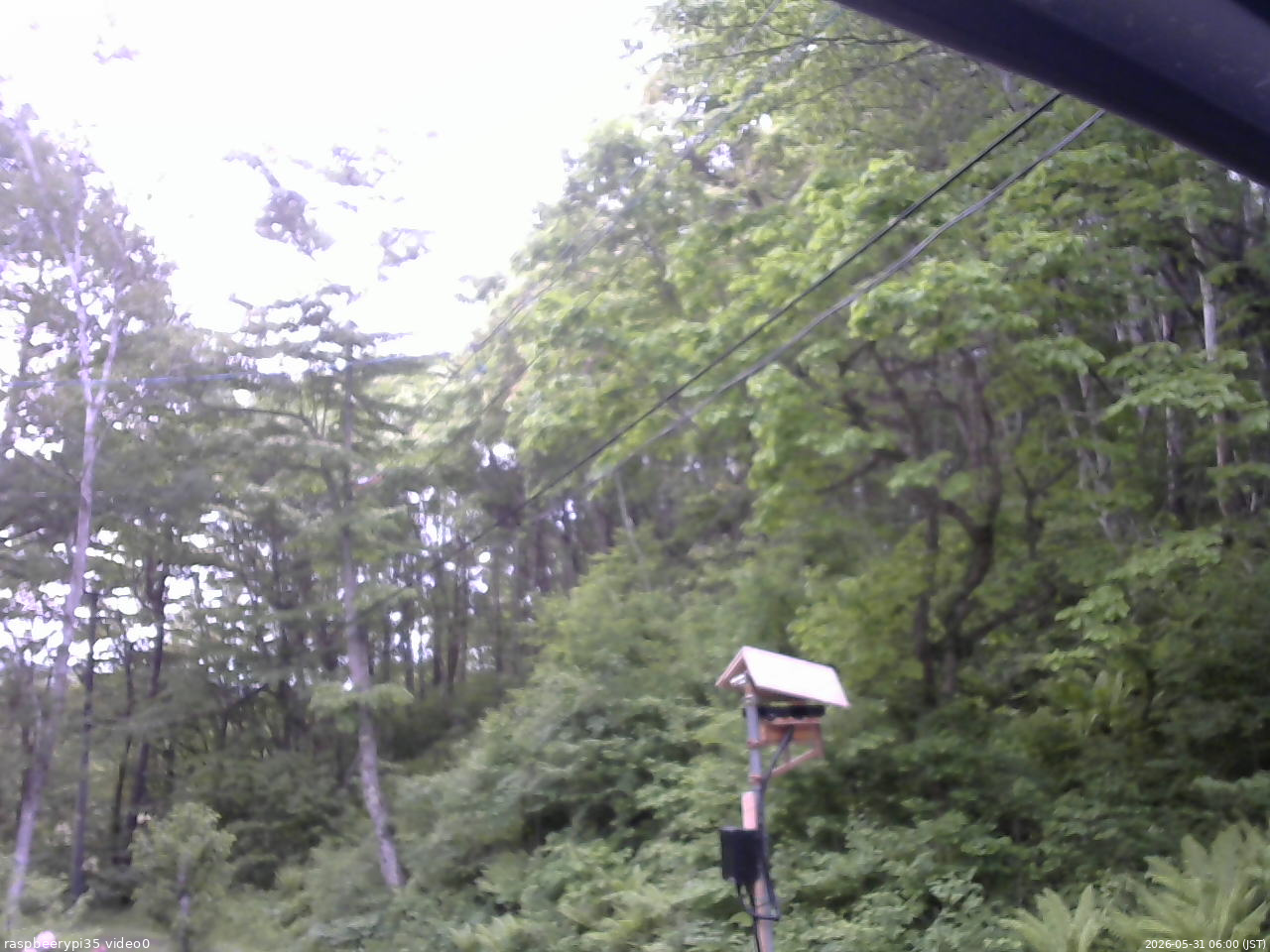 長野県菅平高原 ゆたか山荘 温度計 2026/05/31 06:00
