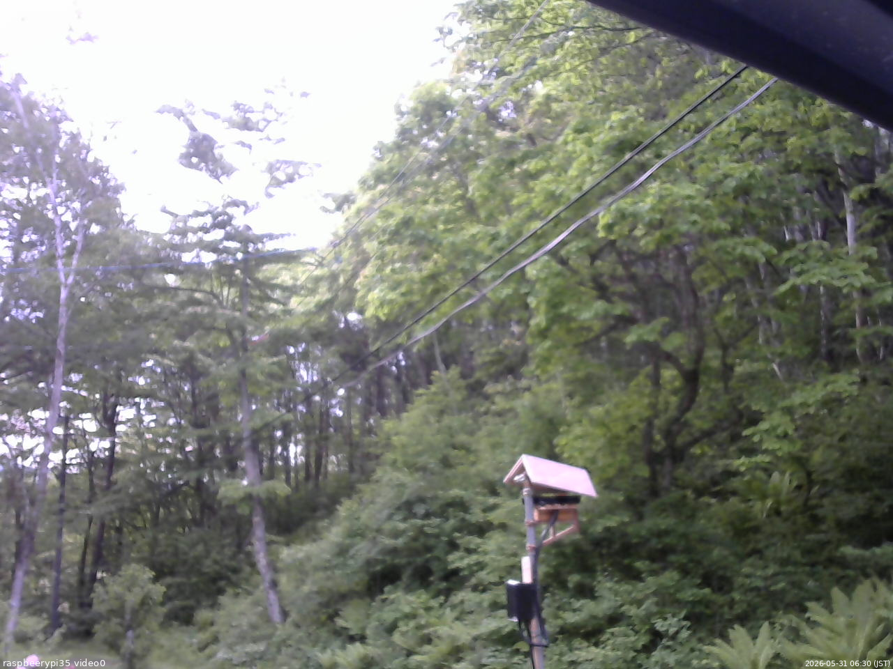 長野県菅平高原 ゆたか山荘 温度計 2026/05/31 06:30