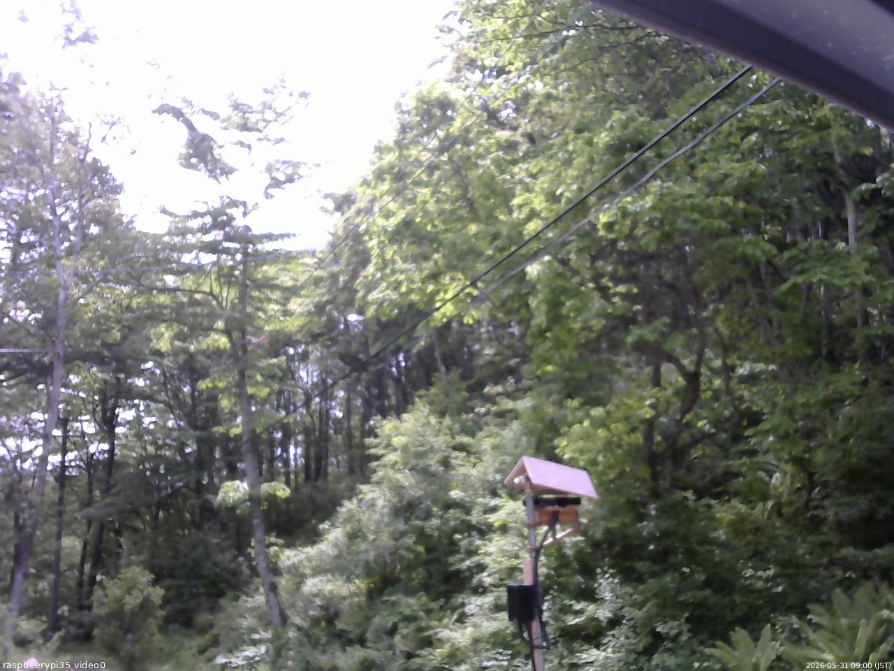 長野県菅平高原 ゆたか山荘 温度計 2026/05/31 09:00