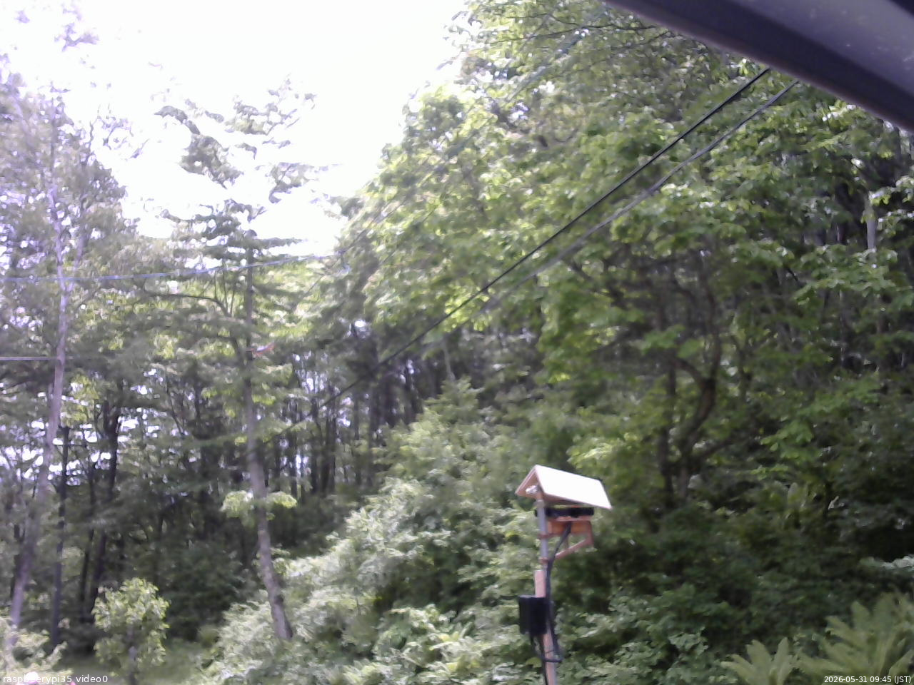 長野県菅平高原 ゆたか山荘 温度計 2026/05/31 09:45