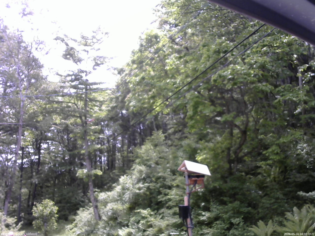 長野県菅平高原 ゆたか山荘 温度計 2026/05/31 10:00