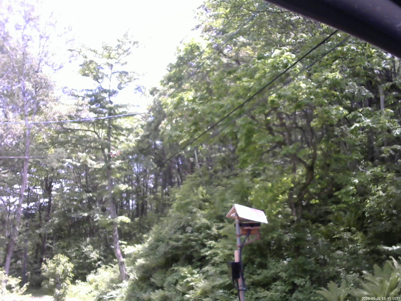 長野県菅平高原 ゆたか山荘 温度計 2026/05/31 11:45