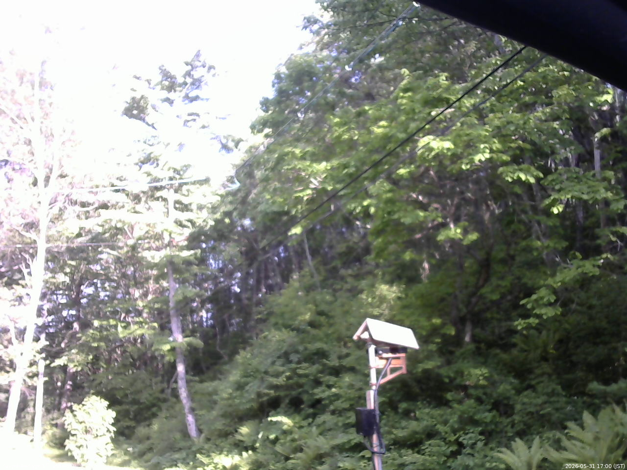 長野県菅平高原 ゆたか山荘 温度計 2026/05/31 17:00