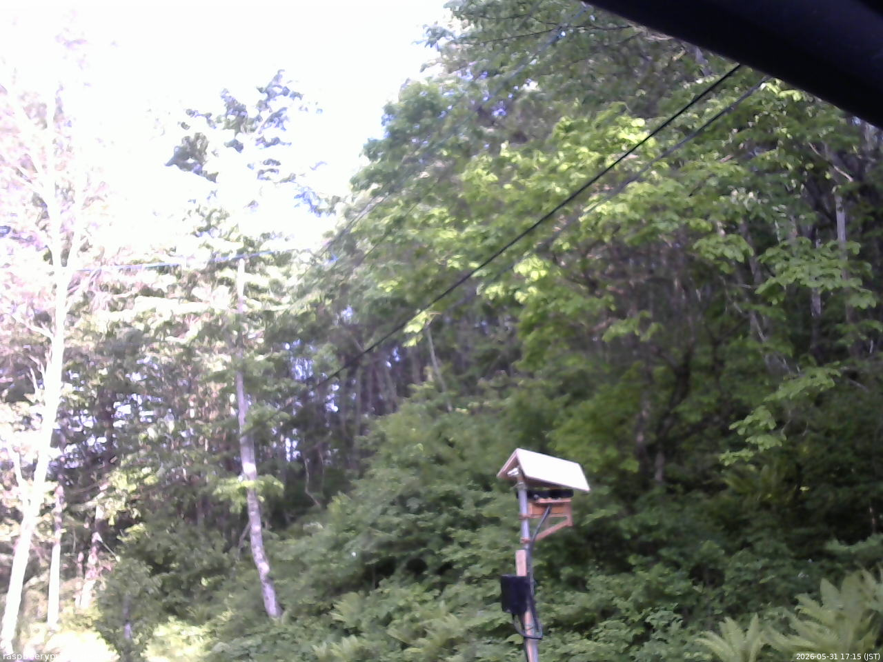 長野県菅平高原 ゆたか山荘 温度計 2026/05/31 17:15