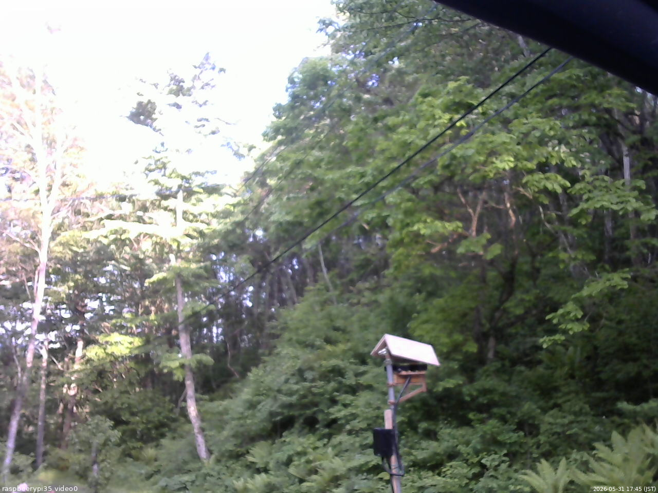 長野県菅平高原 ゆたか山荘 温度計 2026/05/31 17:45